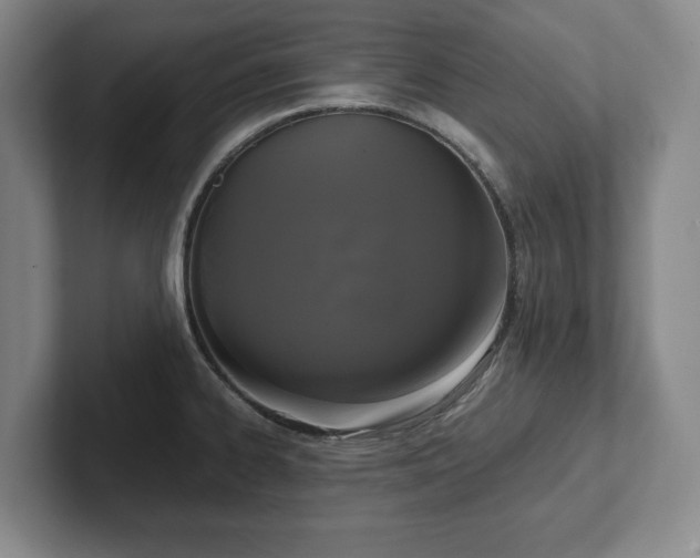 X0000101951334200807251127