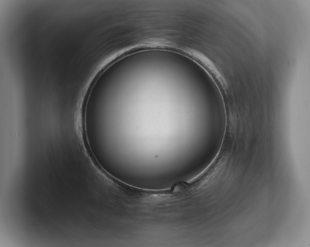 X0000101951335200807251127