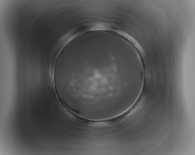 X0000101951337200807251127