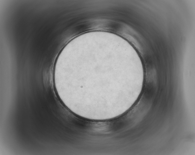 X0000101951338200807251127