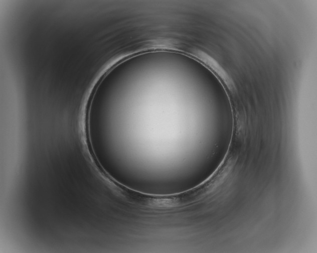 X0000101951339200807251127