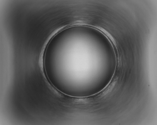 X0000101951341200807251127