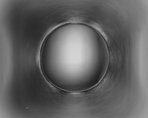 X0000101951343200807251127