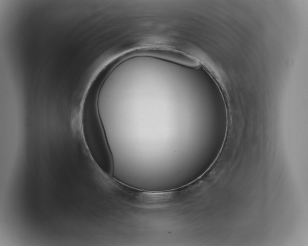 X0000101951344200807251127