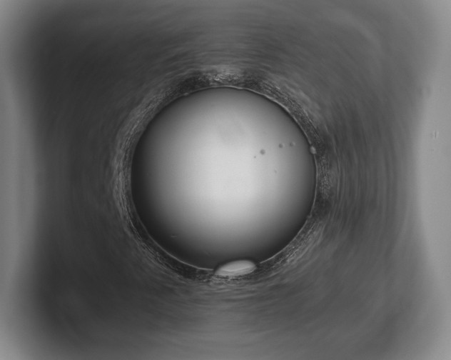 X0000101951345200807251126