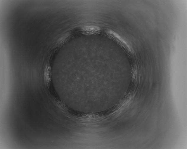 X0000101951346200807251126