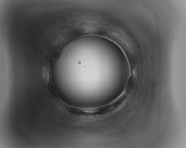 X0000101951348200807251126