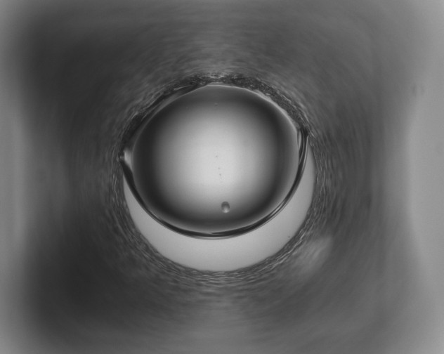 X0000101951349200807251126