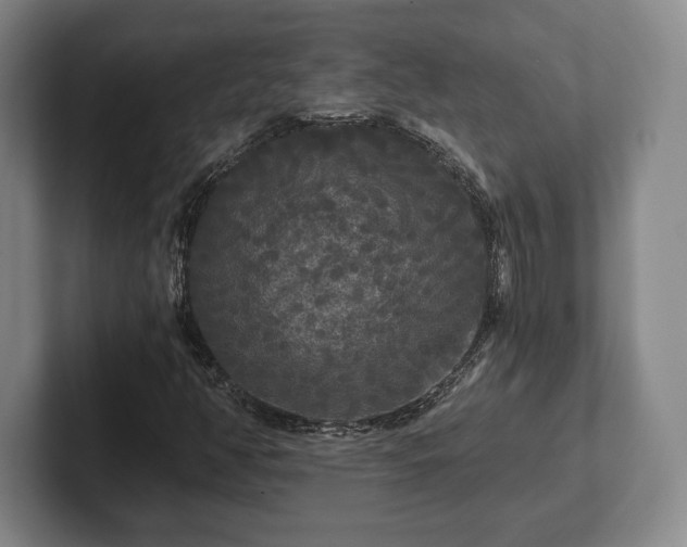 X0000101951350200807251126