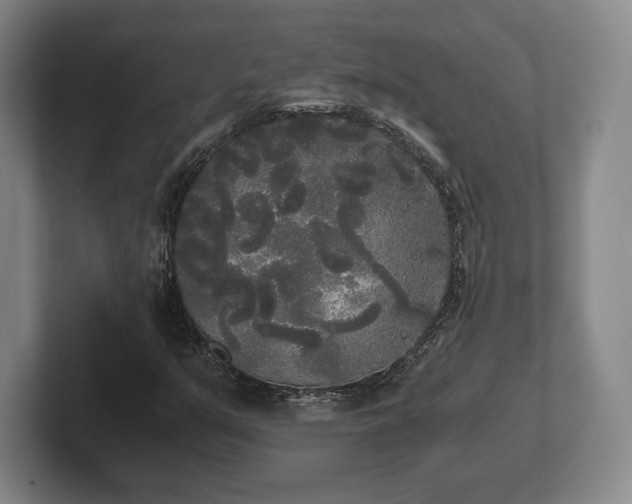 X0000101951351200807251126