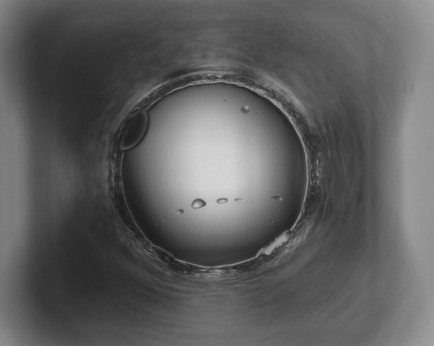 X0000101951352200807251126