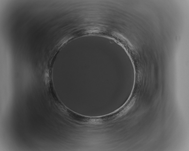 X0000101951353200807251126