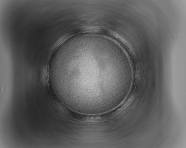 X0000101951354200807251126