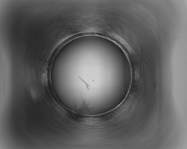 X0000101951356200807251126