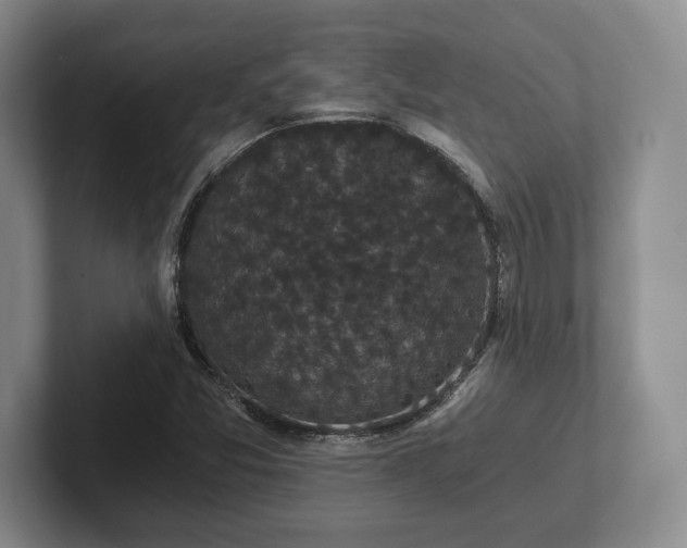 X0000101951357200807251126