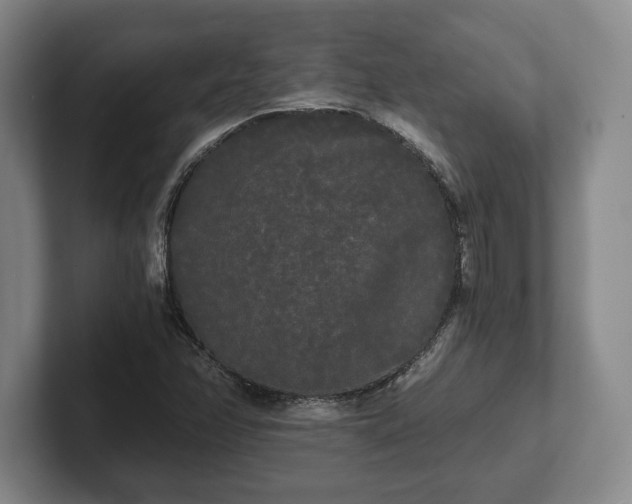 X0000101951358200807251126