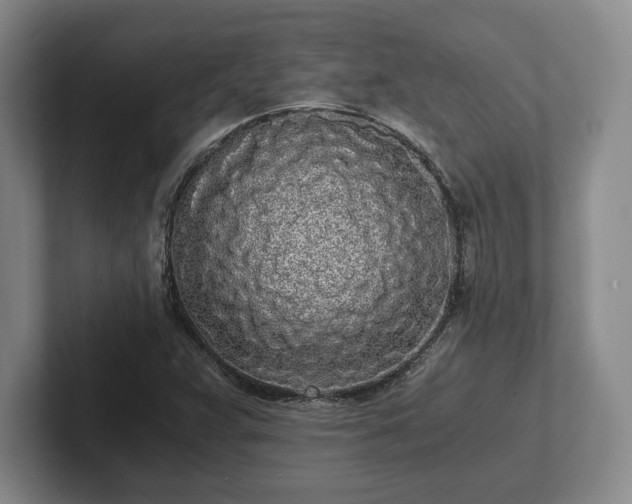 X0000101951359200807251126