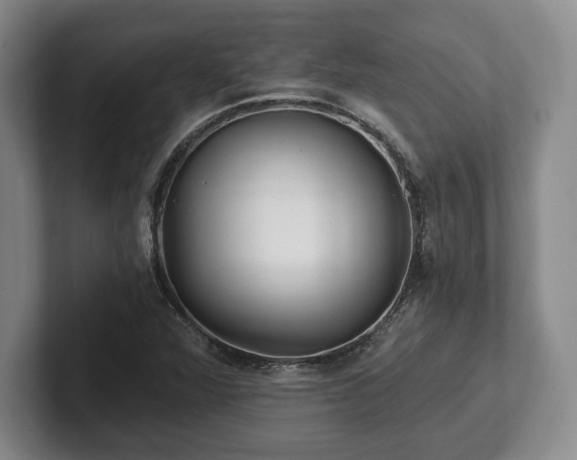 X0000101951360200807251126