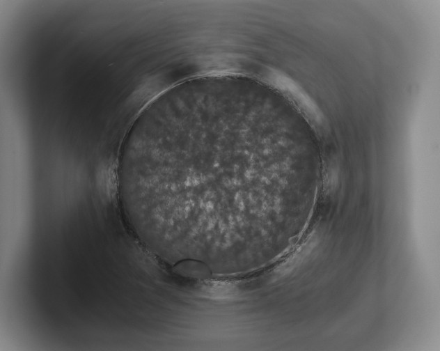 X0000101951361200807251126