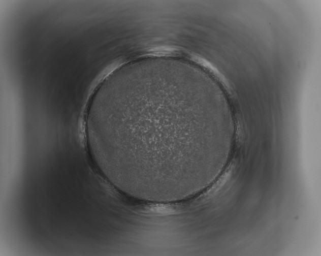 X0000101951362200807251126