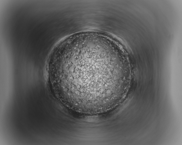 X0000101951363200807251126