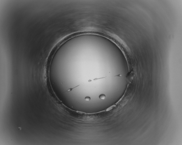 X0000101951364200807251126