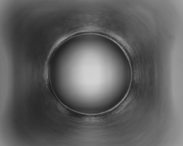 X0000101951366200807251126