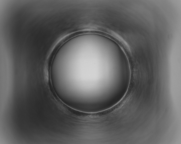 X0000101951368200807251126