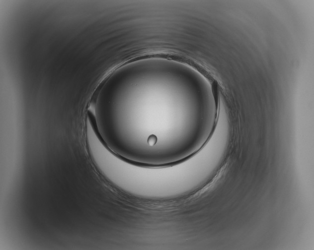 X0000101951369200807251126