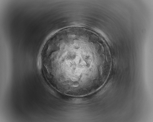 X0000101951371200807251126