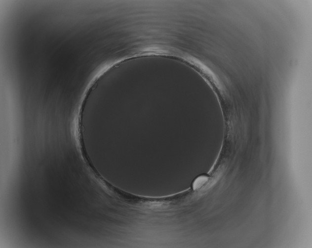 X0000101951373200807251126