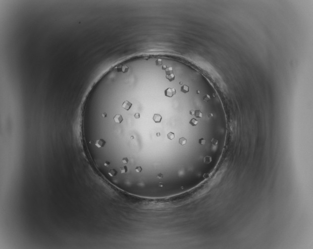 X0000101951374200807251126