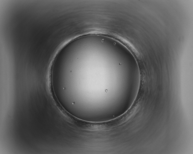 X0000101951375200807251126