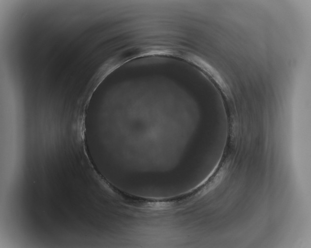 X0000101951377200807251126