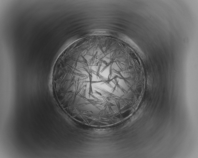 X0000101951378200807251126