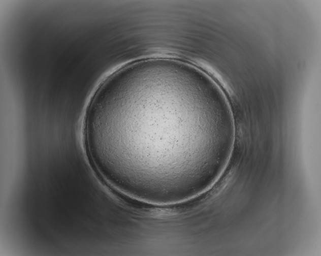 X0000101951379200807251126