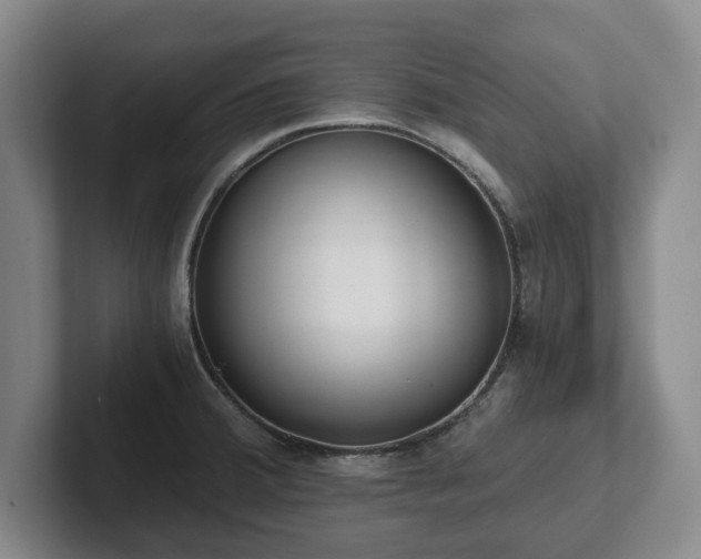 X0000101951380200807251126