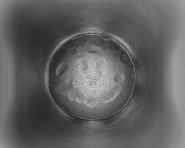 X0000101951383200807251126