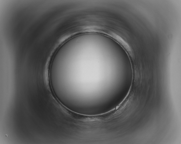 X0000101951384200807251126