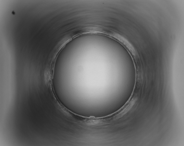 X0000101951385200807251126