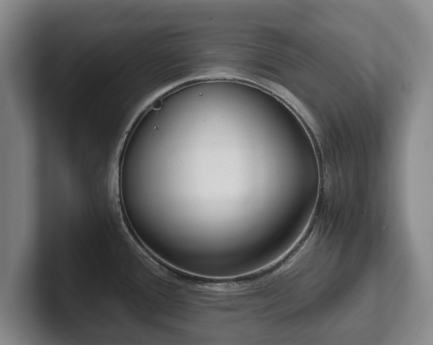 X0000101951388200807251126