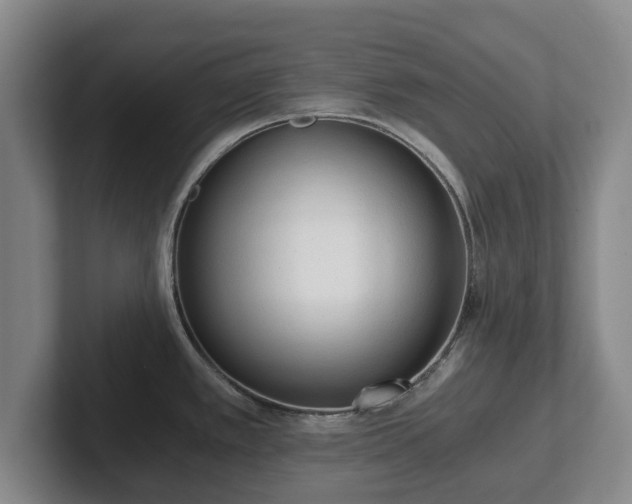 X0000101951389200807251125