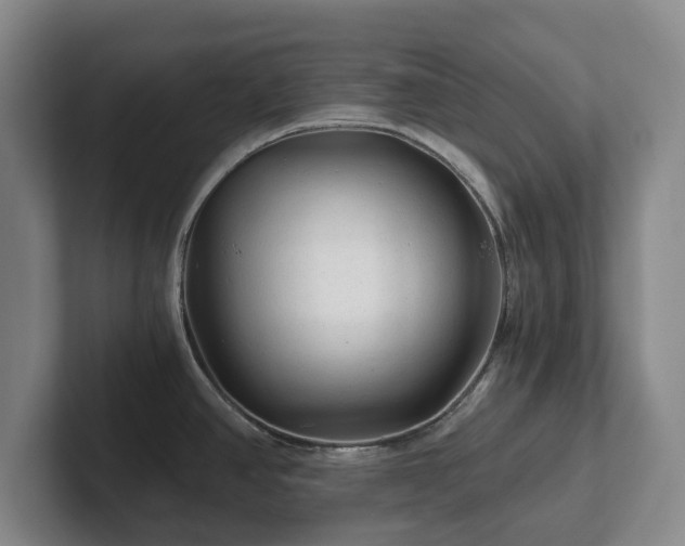 X0000101951390200807251125