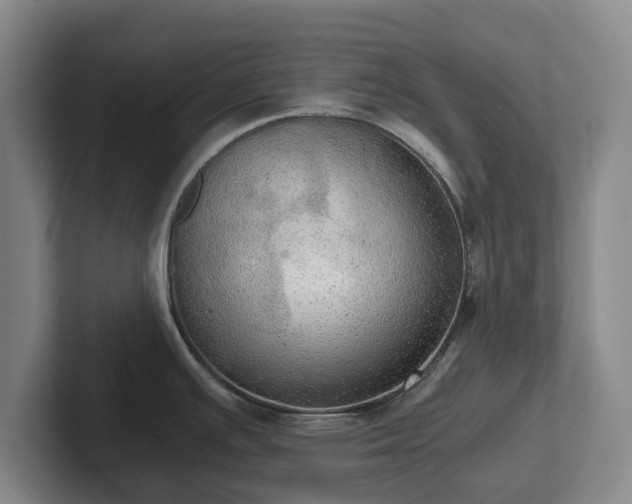 X0000101951391200807251125