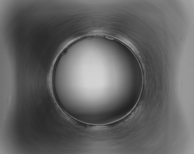 X0000101951392200807251125