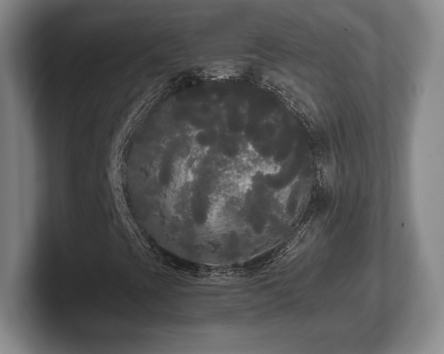 X0000101951393200807251125