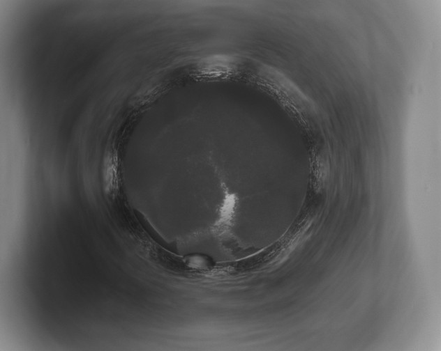 X0000101951394200807251125