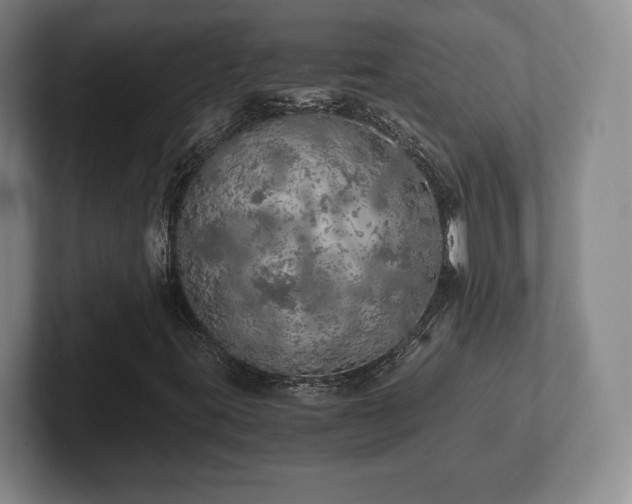 X0000101951395200807251125