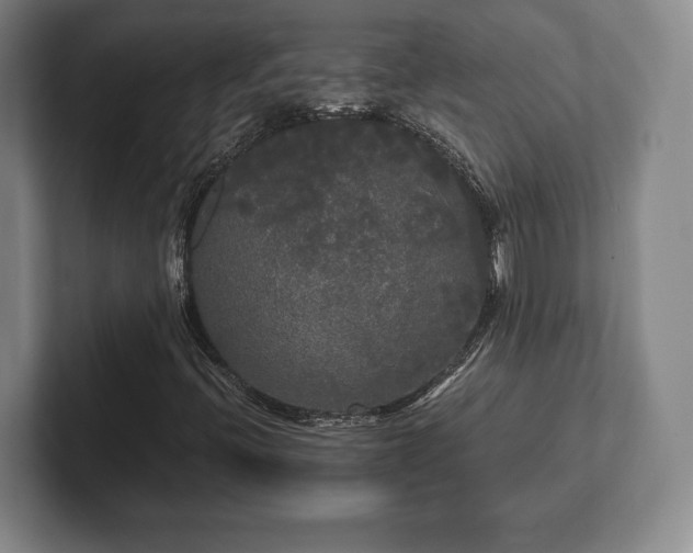 X0000101951396200807251125