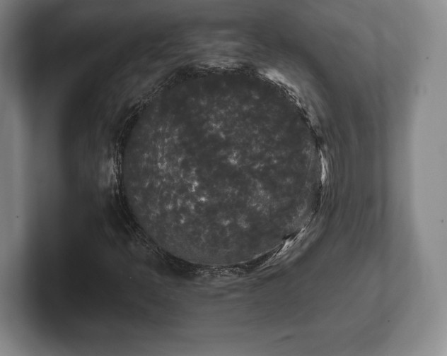 X0000101951397200807251125